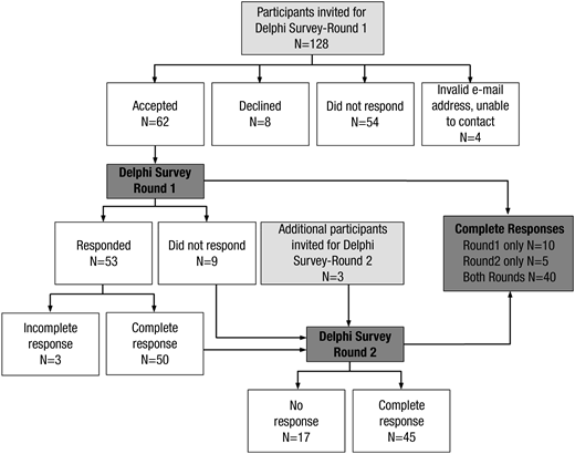Figure 2. Flow diagram of the Delphi surveys.