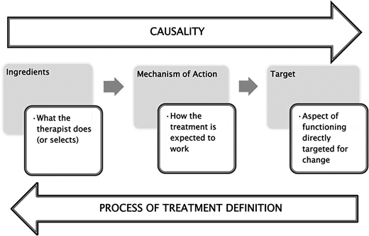 Figure 1. Tripartite structure of a treatment component based on treatment theory.