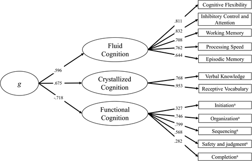 The final model of cognition.